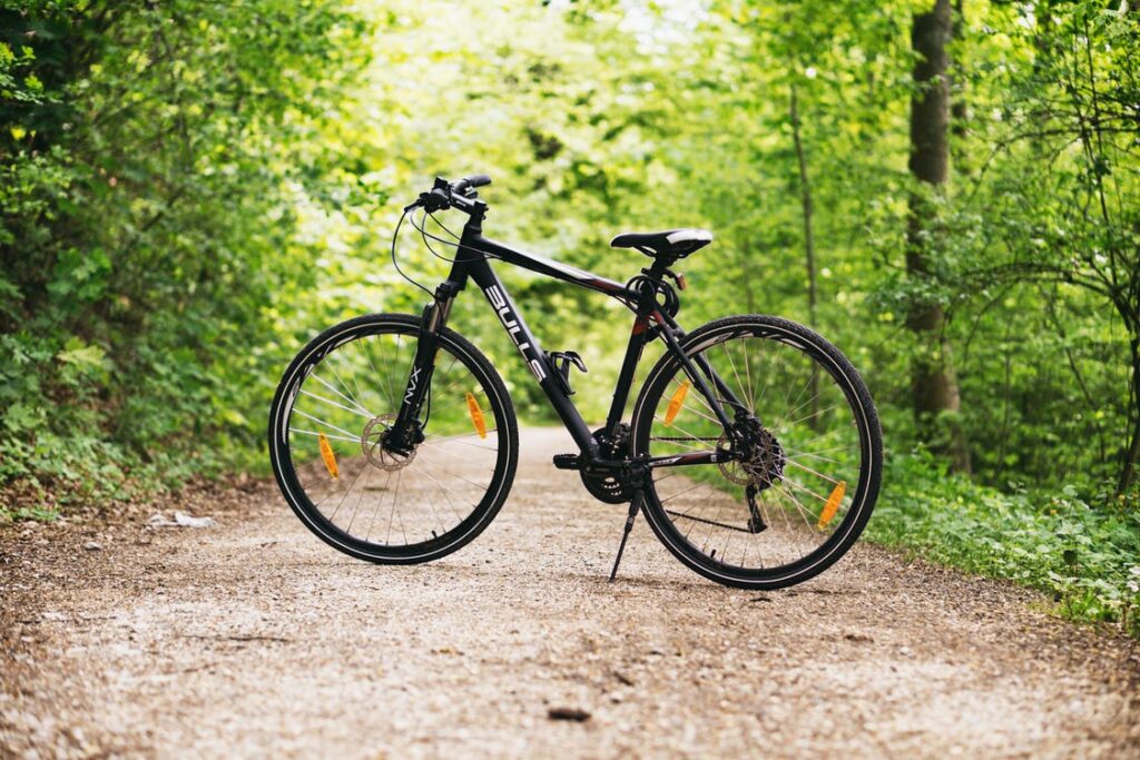 Cykl i skoven